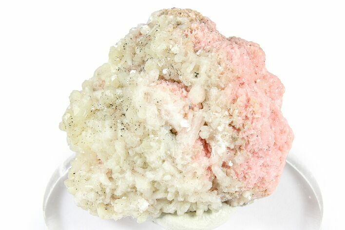 Sparkling Stilbite Crystals on Rhodochrosite Rosettes - Bulgaria #368695